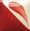 Picture of DARK SCARLET UNDERGLAZE 236ML