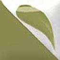 Picture of LIGHT OLIVE UNDERGLAZE 59ML